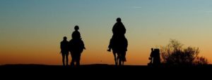 cavalli tramonto